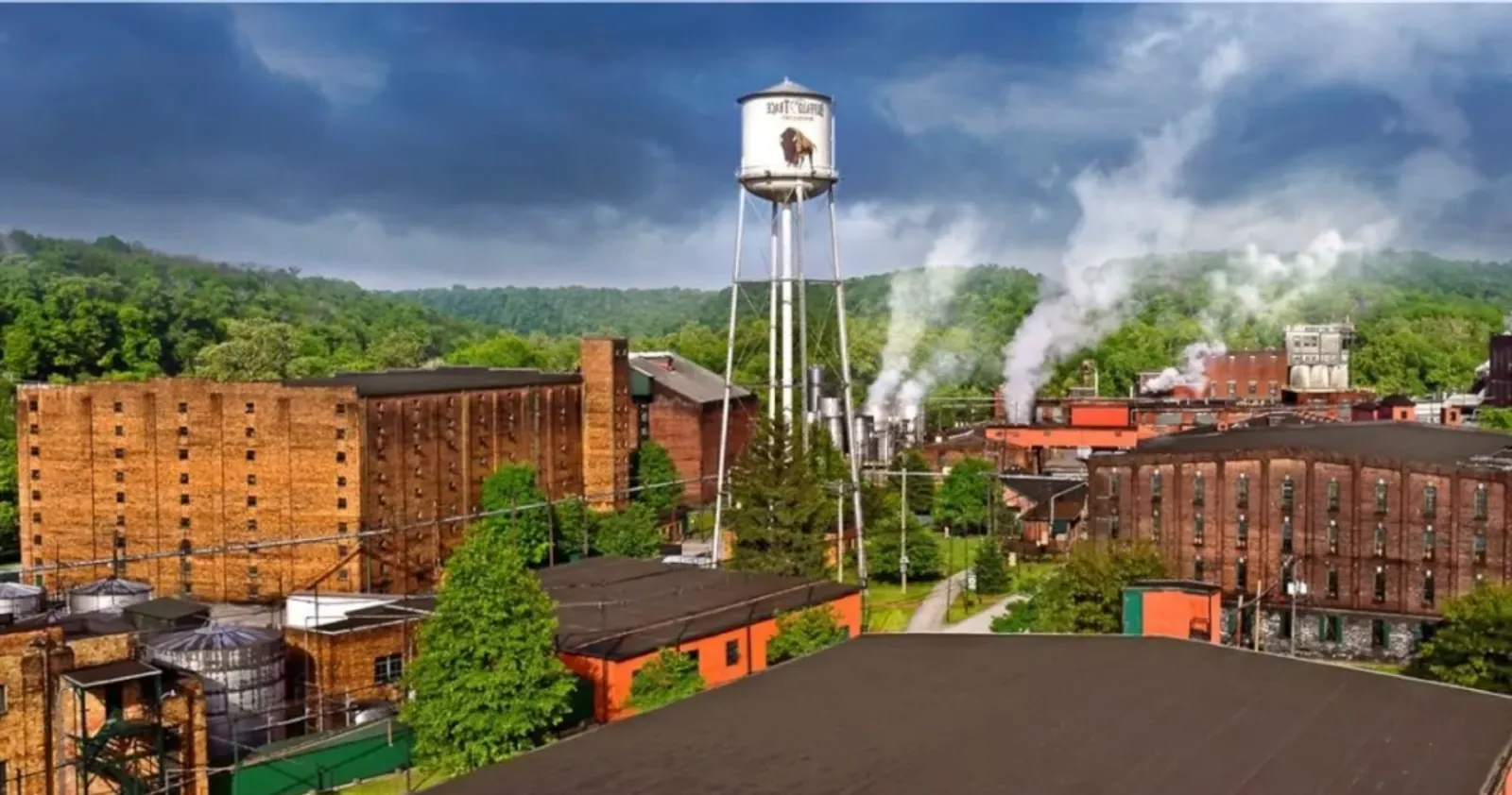 Sejarah Distillery di Seluruh Dunia: Dari Irlandia ke Jepang